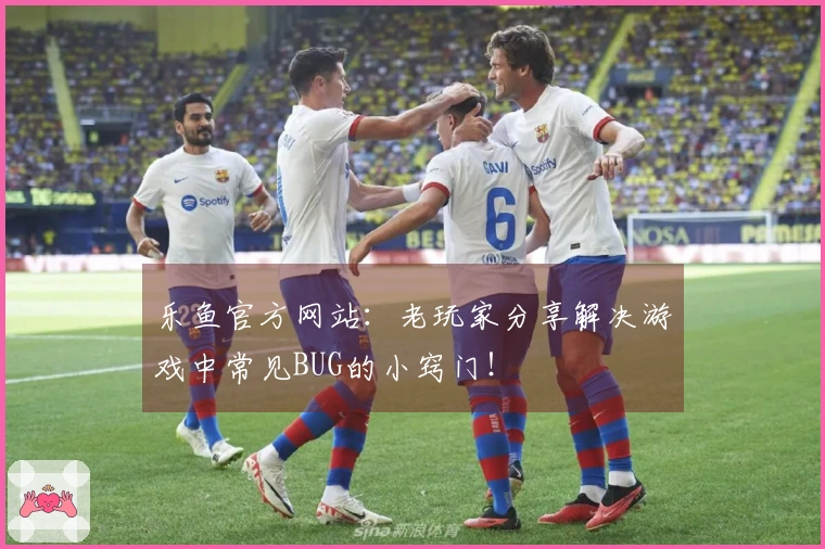 乐鱼官方网站：老玩家分享解决游戏中常见BUG的小窍门！