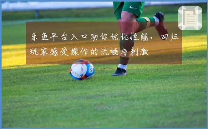 乐鱼平台入口助你优化性能，回归玩家感受操作的流畅与刺激