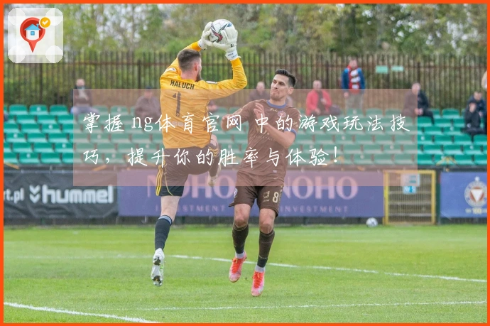掌握 ng体育官网 中的游戏玩法技巧，提升你的胜率与体验！