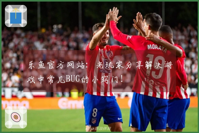 乐鱼官方网站：老玩家分享解决游戏中常见BUG的小窍门！