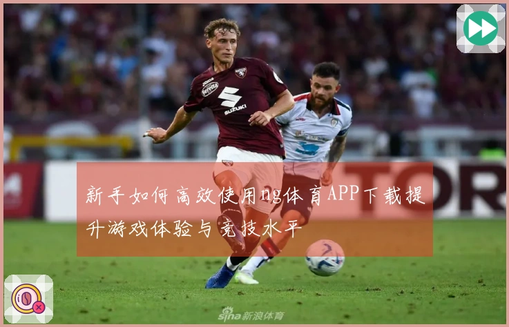 新手如何高效使用ng体育APP下载提升游戏体验与竞技水平
