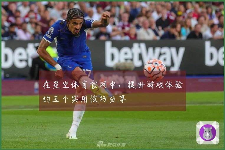在星空体育官网中，提升游戏体验的五个实用技巧分享